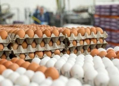 قیمت تخم مرغ چقدر شده است؟