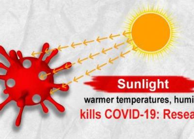 نور خورشید در تابستان ویروس کرونا را غیرفعال می نماید؟