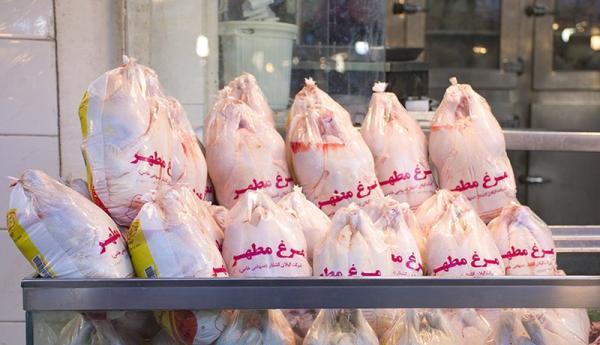 احتمال کاهش قیمت مرغ در عمده و خرده فروشی ها