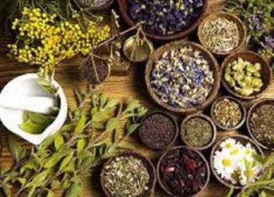 مطالعه و ایجاد زیرساخت شهرک گیاهان دارویی در قزوین