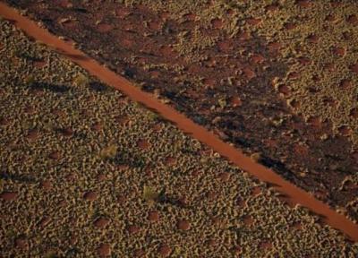 رازگشایی از دایره های جنی سرزمین بومیان استرالیا!