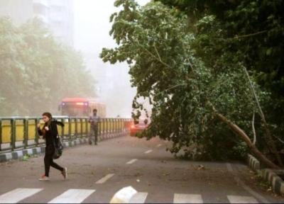 هشدار هواشناسی نسبت به وزش باد شدید در تهران تا شنبه ، احتمال سقوط اشیا از ارتفاعات