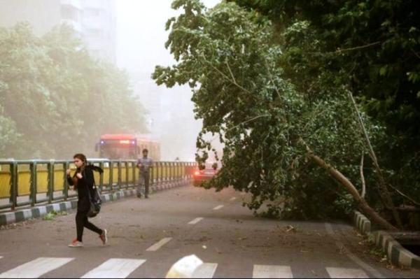 هشدار هواشناسی نسبت به وزش باد شدید در تهران تا شنبه ، احتمال سقوط اشیا از ارتفاعات