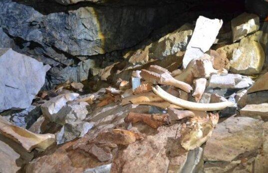 کشف یک غار عجیب پر از استخوان در روسیه، عکس