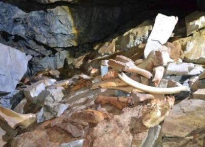 کشف یک غار عجیب پر از استخوان در روسیه، عکس