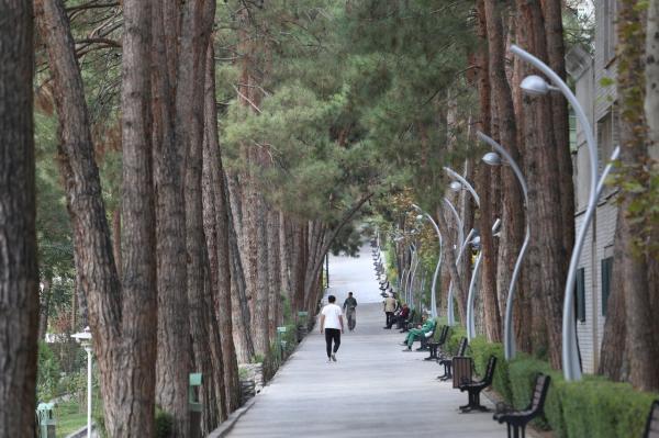 مقرون به صرفه ترین پارک تهران را چه کسی ساخت؟ ، یک باغبان و چند کارگر ساده، همه امکانات پدر جنگلبانی ایران