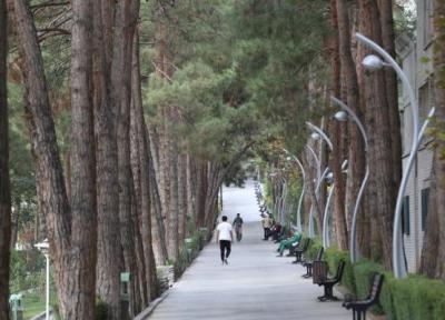 مقرون به صرفه ترین پارک تهران را چه کسی ساخت؟ ، یک باغبان و چند کارگر ساده، همه امکانات پدر جنگلبانی ایران